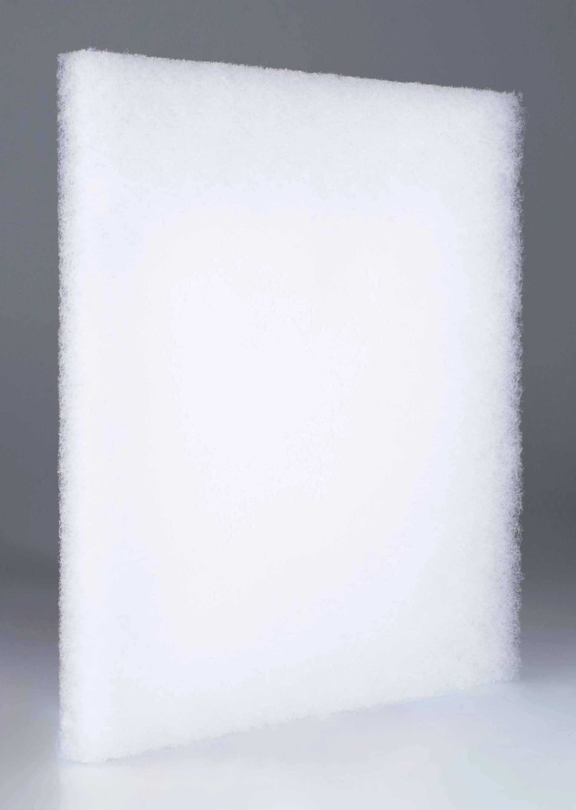 Filtras ventiliatoriui EF-150M 001344051