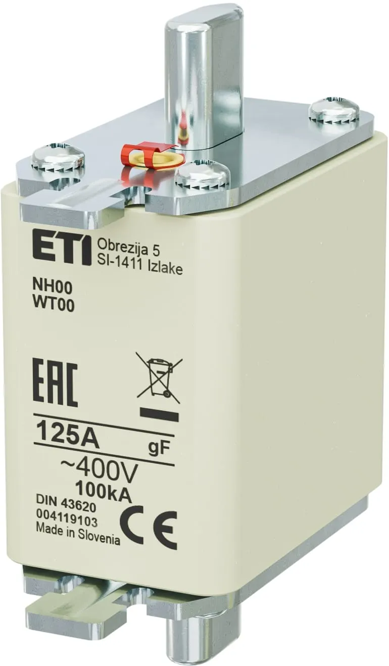 Saugikliai NH00 gF 125A/400V 004119103